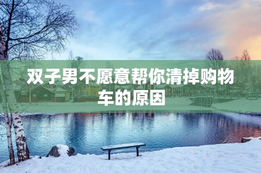 双子男不愿意帮你清掉购物车的原因