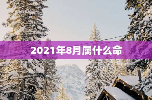 2025年8月属什么命