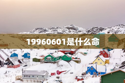 19960601是什么命