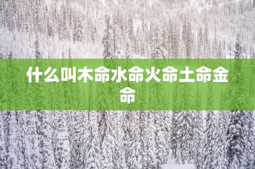 什么叫木命水命火命土命金命