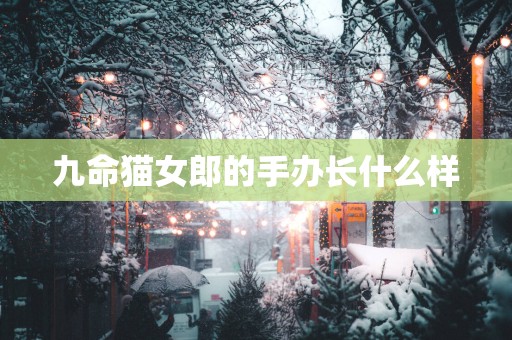 九命猫女郎的手办长什么样