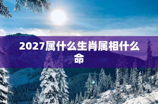 2027属什么生肖属相什么命