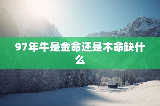 97年牛是金命还是木命缺什么