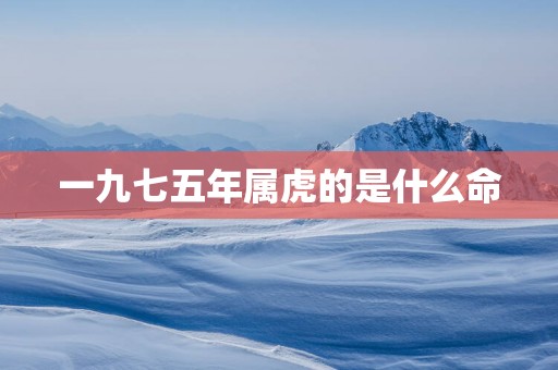 一九七五年属虎的是什么命