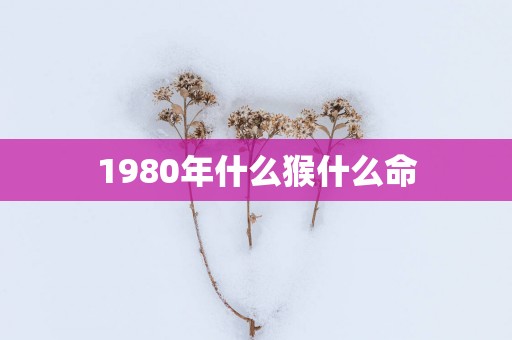 1980年什么猴什么命