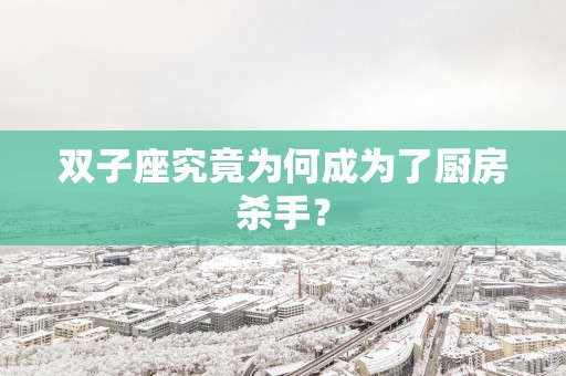 双子座究竟为何成为了厨房杀手？