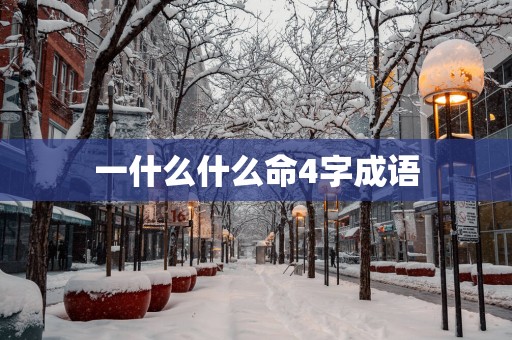 一什么什么命4字成语
