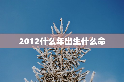 2012什么年出生什么命