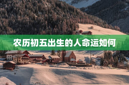 农历初五出生的人命运如何