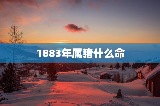 1883年属猪什么命