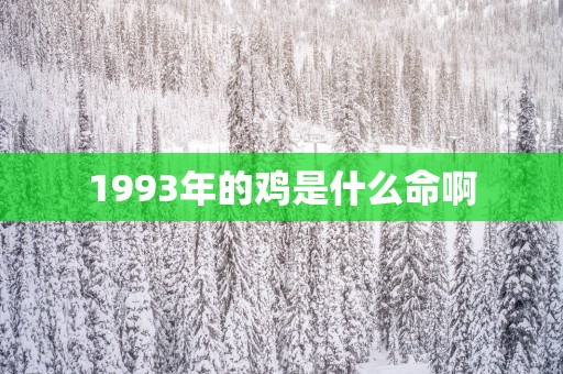 1993年的鸡是什么命啊