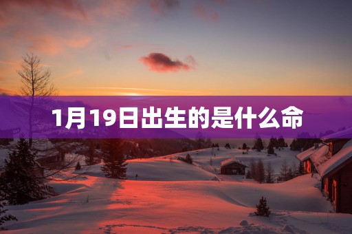 1月19日出生的是什么命