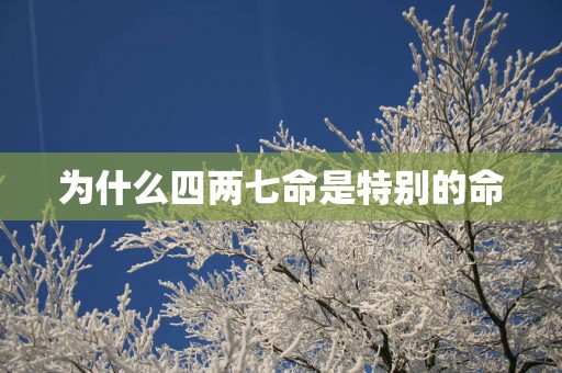 为什么四两七命是特别的命