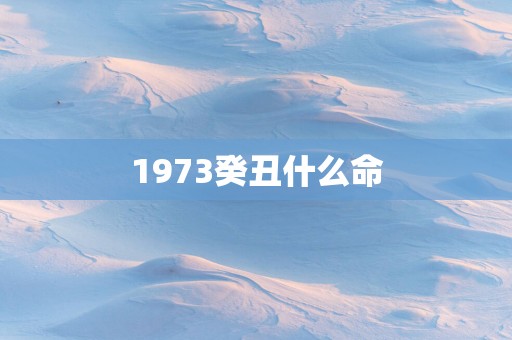 1973癸丑什么命
