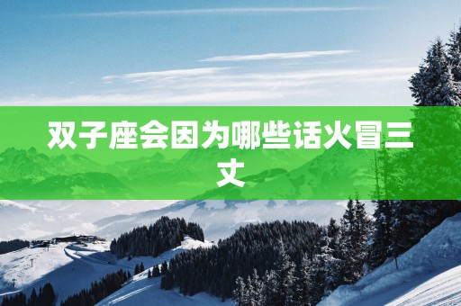 双子座会因为哪些话火冒三丈