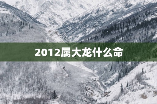 2012属大龙什么命