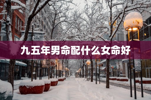 九五年男命配什么女命好