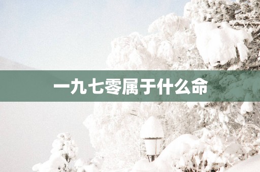 一九七零属于什么命