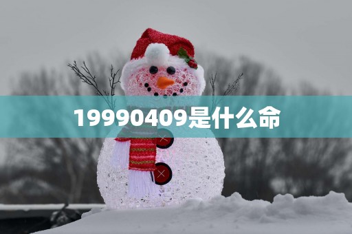 19990409是什么命