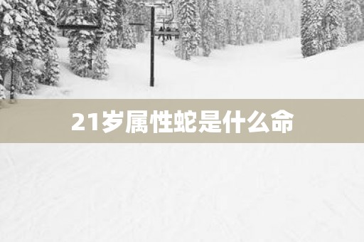 21岁属性蛇是什么命