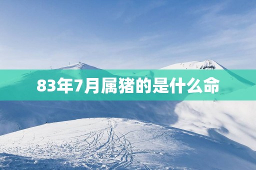 83年7月属猪的是什么命