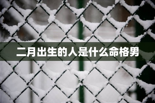 二月出生的人是什么命格男
