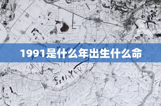 1991是什么年出生什么命