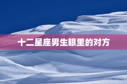 十二星座男生眼里的对方 十二星座男生眼里的对方