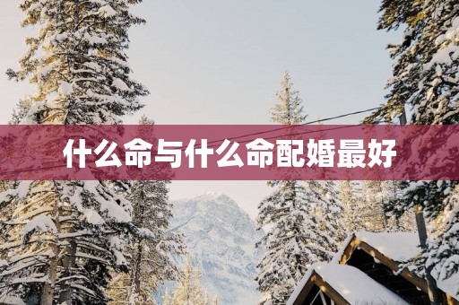 什么命与什么命配婚最好