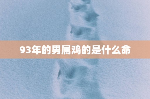 93年的男属鸡的是什么命