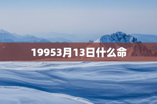 19953月13日什么命