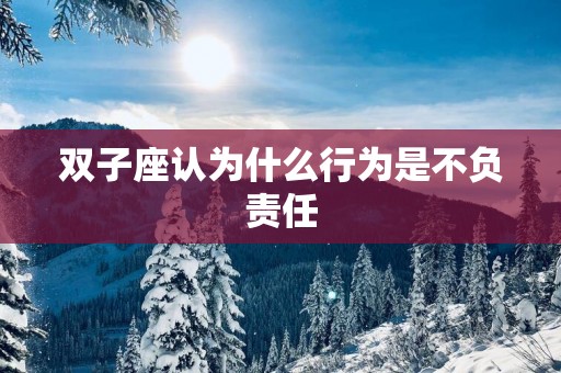 双子座认为什么行为是不负责任