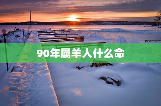 90年属羊人什么命