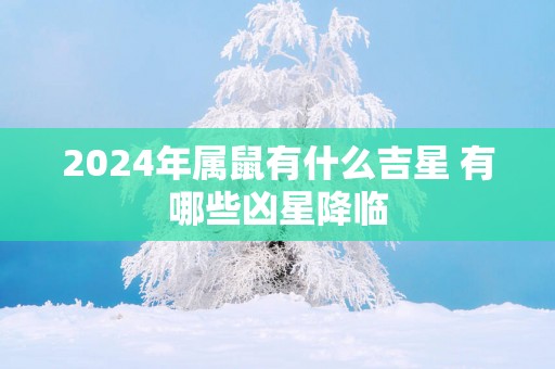 2025年属鼠有什么吉星 有哪些凶星降临