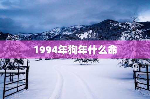 1994年狗年什么命
