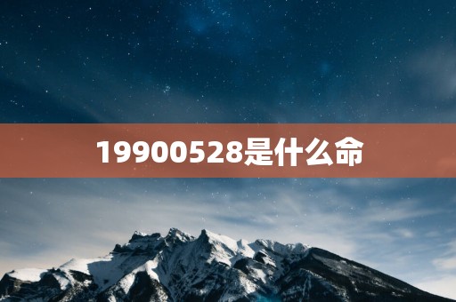 19900528是什么命