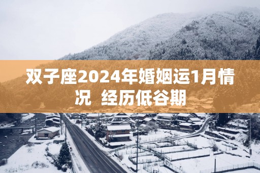 双子座2025年婚姻运1月情况  经历低谷期