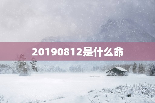 20190812是什么命