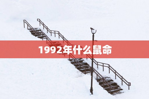 1992年什么鼠命