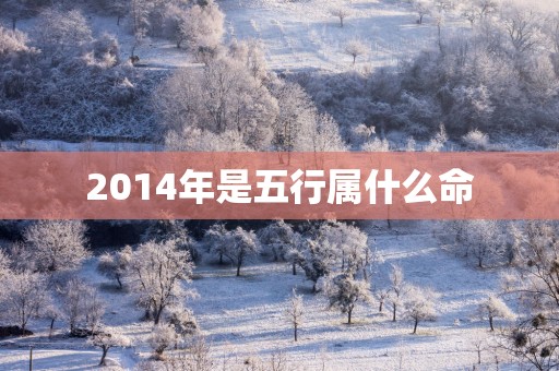 2014年是五行属什么命