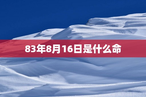 83年8月16日是什么命