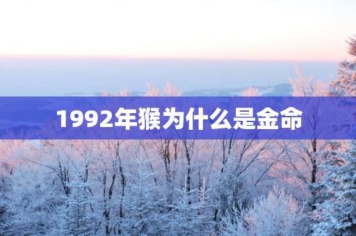1992年猴为什么是金命