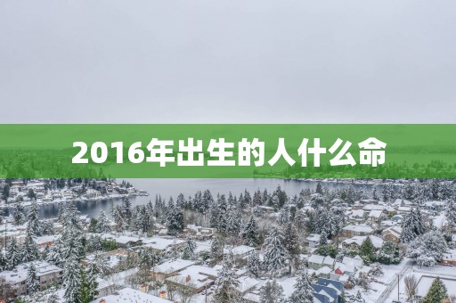 2016年出生的人什么命