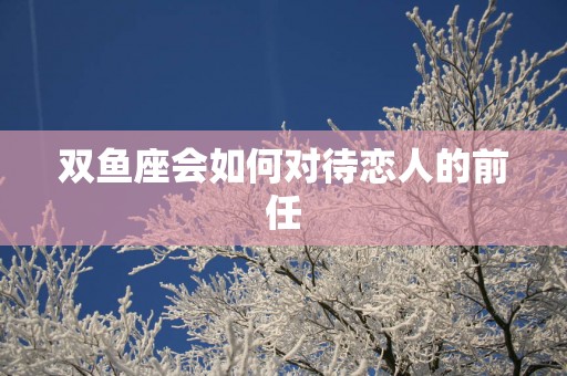 双鱼座会如何对待恋人的前任
