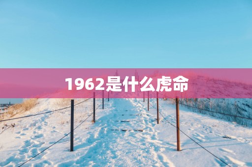 1962是什么虎命