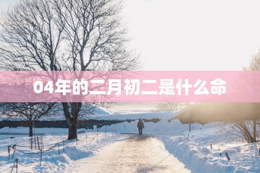 04年的二月初二是什么命