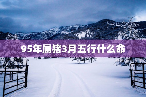 95年属猪3月五行什么命