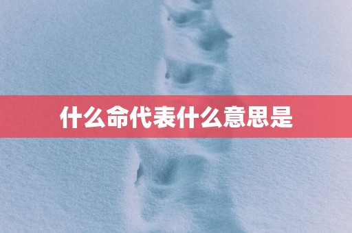什么命代表什么意思是