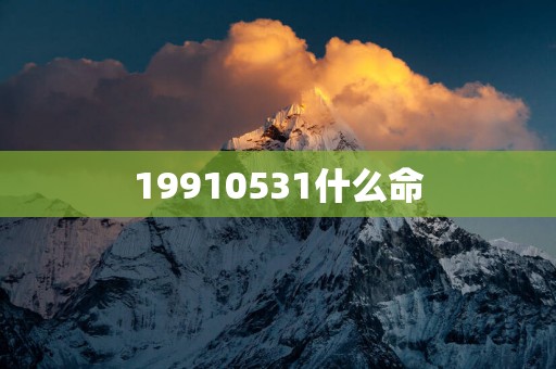 19910531什么命