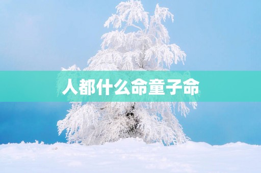 人都什么命童子命